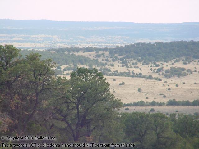 Overlooking the valley to the west from Pine Meadow Ranches Unit 4 lot 824 in Cibola County, New Mexico. This unit sits high on the backside of El Morro National Monument and is covered in big tall trees - nice! : ) Its about 2 hours W of Albuquerque in the Zuni Mountains.